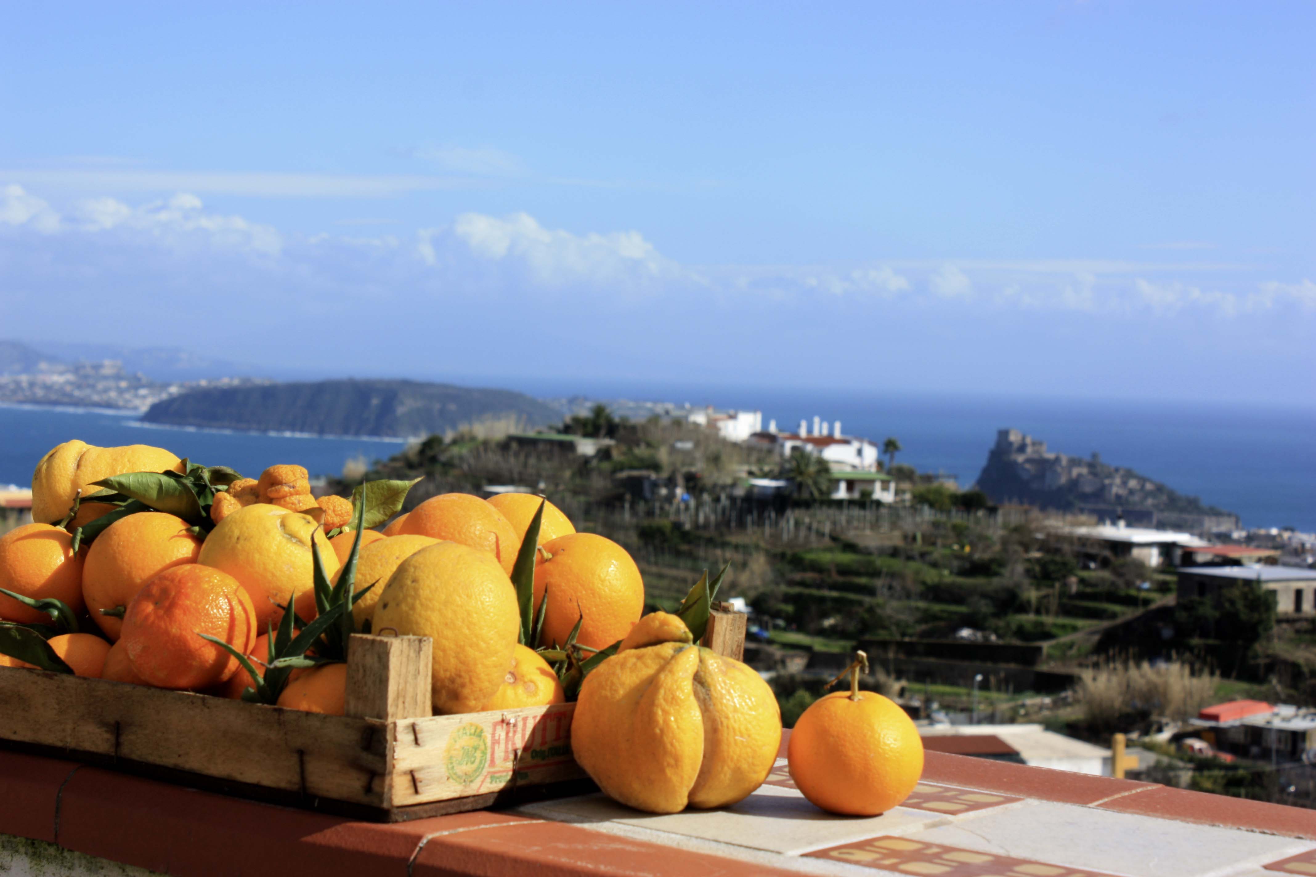 Ischia. Zitronen und Orangen