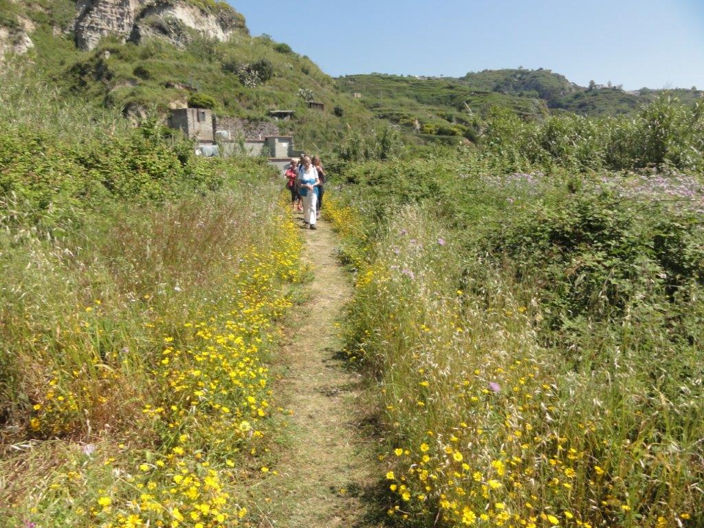 trekking ad Ischia. Trekking-lato-sud