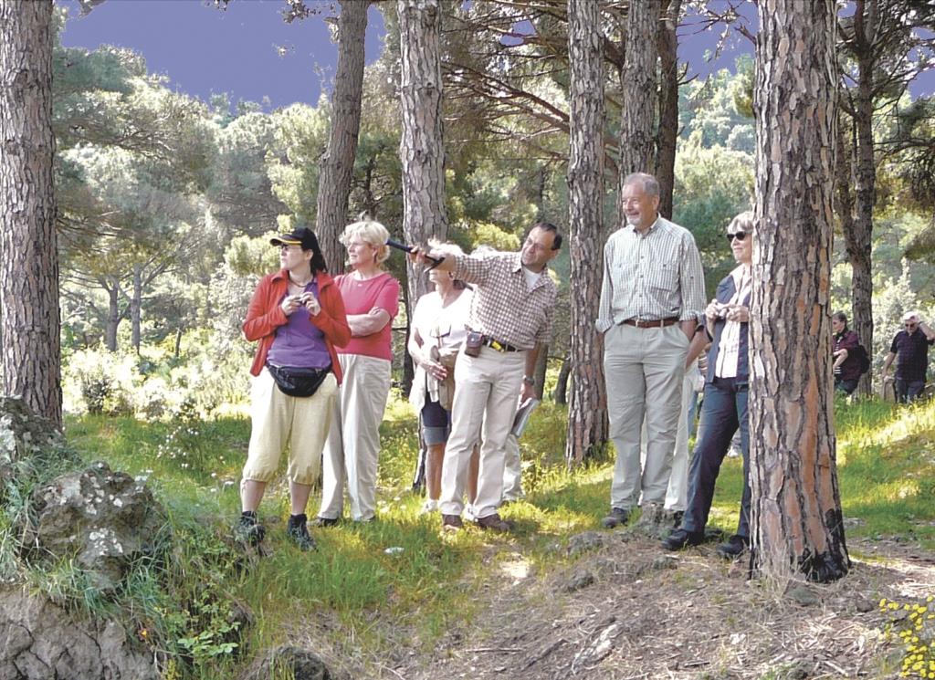 Escursioni ad Ischia. Vulcani con minibus