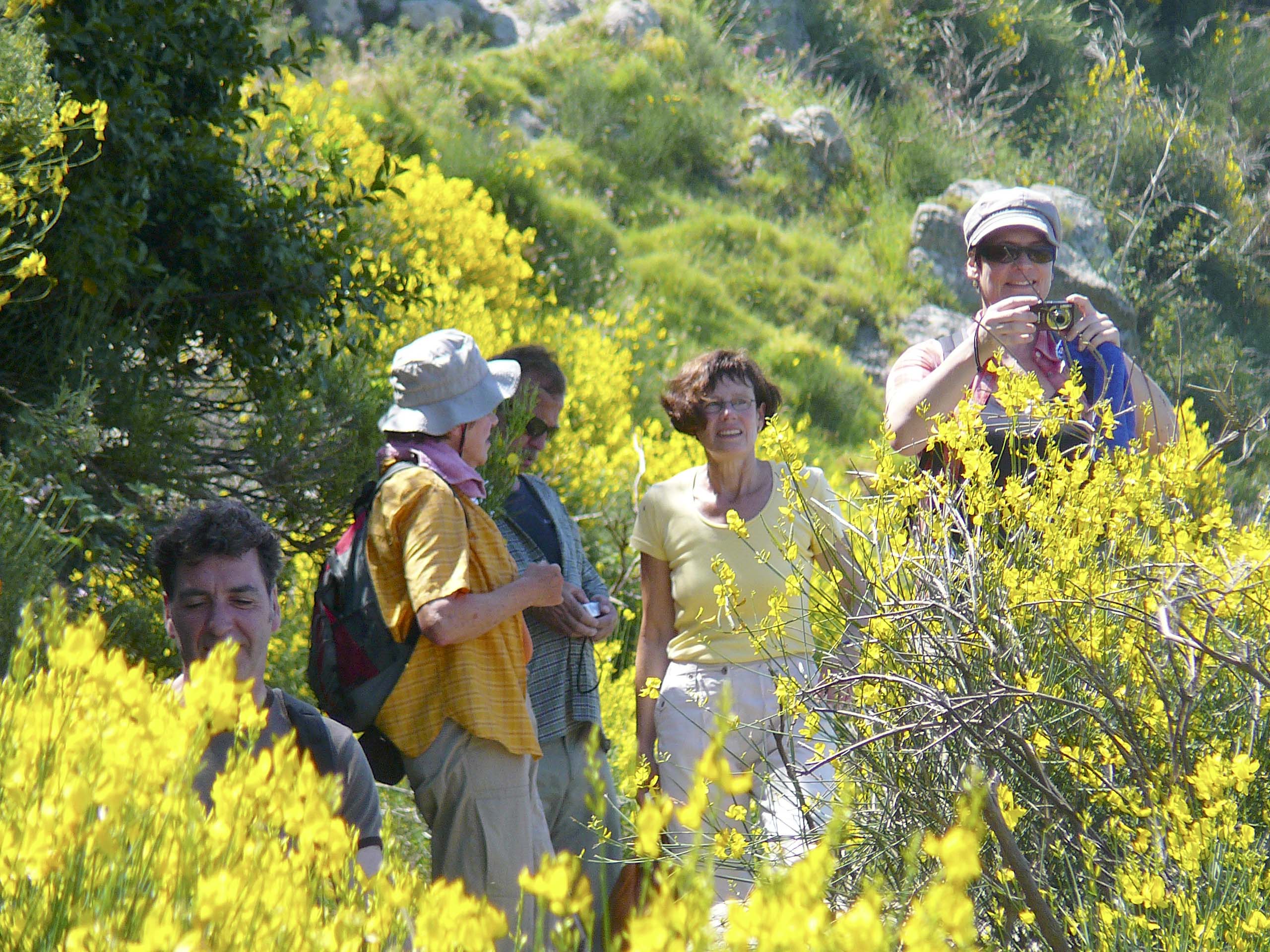 Vegetation und Klima der Insel Ischia